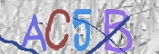 To prevent spam, please prove you are a real person by typing the characters you see in this box into the box below.