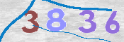 To prevent spam, please prove you are a real person by typing the characters you see in this box into the box below.