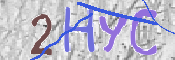 To prevent spam, please prove you are a real person by typing the characters you see in this box into the box below.