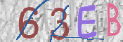 To prevent spam, please prove you are a real person by typing the characters you see in this box into the box below.
