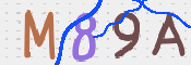 To prevent spam, please prove you are a real person by typing the characters you see in this box into the box below.