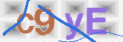 To prevent spam, please prove you are a real person by typing the characters you see in this box into the box below.