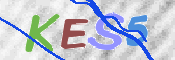 To prevent spam, please prove you are a real person by typing the characters you see in this box into the box below.