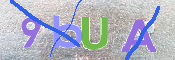 To prevent spam, please prove you are a real person by typing the characters you see in this box into the box below.