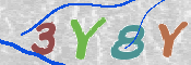 To prevent spam, please prove you are a real person by typing the characters you see in this box into the box below.