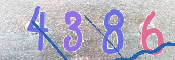 To prevent spam, please prove you are a real person by typing the characters you see in this box into the box below.