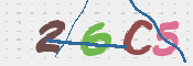 To prevent spam, please prove you are a real person by typing the characters you see in this box into the box below.