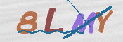 To prevent spam, please prove you are a real person by typing the characters you see in this box into the box below.