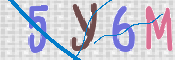 To prevent spam, please prove you are a real person by typing the characters you see in this box into the box below.
