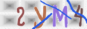 To prevent spam, please prove you are a real person by typing the characters you see in this box into the box below.