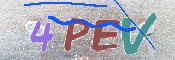 To prevent spam, please prove you are a real person by typing the characters you see in this box into the box below.