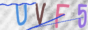 To prevent spam, please prove you are a real person by typing the characters you see in this box into the box below.