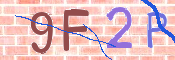 To prevent spam, please prove you are a real person by typing the characters you see in this box into the box below.