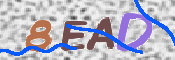 To prevent spam, please prove you are a real person by typing the characters you see in this box into the box below.
