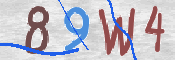 To prevent spam, please prove you are a real person by typing the characters you see in this box into the box below.