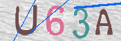 To prevent spam, please prove you are a real person by typing the characters you see in this box into the box below.