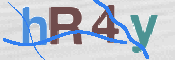 To prevent spam, please prove you are a real person by typing the characters you see in this box into the box below.