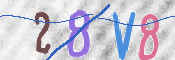 To prevent spam, please prove you are a real person by typing the characters you see in this box into the box below.