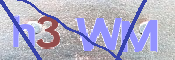 To prevent spam, please prove you are a real person by typing the characters you see in this box into the box below.