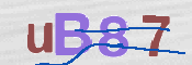 To prevent spam, please prove you are a real person by typing the characters you see in this box into the box below.