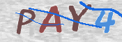 To prevent spam, please prove you are a real person by typing the characters you see in this box into the box below.