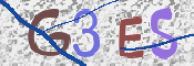 To prevent spam, please prove you are a real person by typing the characters you see in this box into the box below.