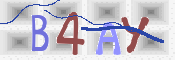 To prevent spam, please prove you are a real person by typing the characters you see in this box into the box below.