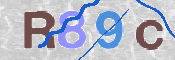 To prevent spam, please prove you are a real person by typing the characters you see in this box into the box below.
