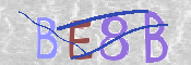To prevent spam, please prove you are a real person by typing the characters you see in this box into the box below.