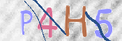 To prevent spam, please prove you are a real person by typing the characters you see in this box into the box below.