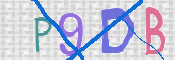 To prevent spam, please prove you are a real person by typing the characters you see in this box into the box below.