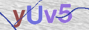 To prevent spam, please prove you are a real person by typing the characters you see in this box into the box below.