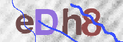 To prevent spam, please prove you are a real person by typing the characters you see in this box into the box below.