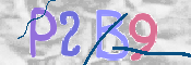 To prevent spam, please prove you are a real person by typing the characters you see in this box into the box below.
