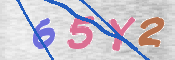 To prevent spam, please prove you are a real person by typing the characters you see in this box into the box below.