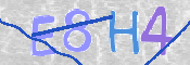To prevent spam, please prove you are a real person by typing the characters you see in this box into the box below.