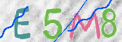 To prevent spam, please prove you are a real person by typing the characters you see in this box into the box below.