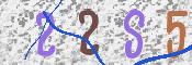 To prevent spam, please prove you are a real person by typing the characters you see in this box into the box below.