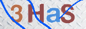 To prevent spam, please prove you are a real person by typing the characters you see in this box into the box below.