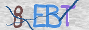 To prevent spam, please prove you are a real person by typing the characters you see in this box into the box below.