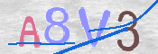 To prevent spam, please prove you are a real person by typing the characters you see in this box into the box below.