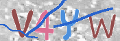To prevent spam, please prove you are a real person by typing the characters you see in this box into the box below.