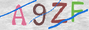 To prevent spam, please prove you are a real person by typing the characters you see in this box into the box below.