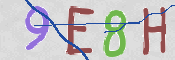 To prevent spam, please prove you are a real person by typing the characters you see in this box into the box below.