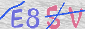 To prevent spam, please prove you are a real person by typing the characters you see in this box into the box below.