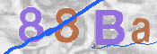 To prevent spam, please prove you are a real person by typing the characters you see in this box into the box below.