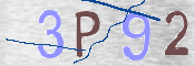 To prevent spam, please prove you are a real person by typing the characters you see in this box into the box below.