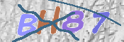 To prevent spam, please prove you are a real person by typing the characters you see in this box into the box below.