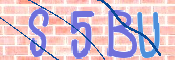 To prevent spam, please prove you are a real person by typing the characters you see in this box into the box below.
