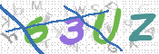 To prevent spam, please prove you are a real person by typing the characters you see in this box into the box below.
